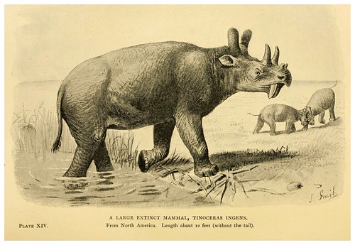 010- Extinct monsters…1896- H. N. Hutchinson