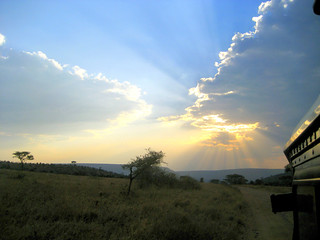 Sonnenuntergang (Serengeti)