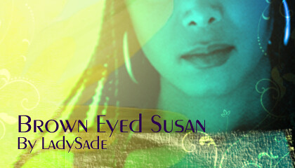 Brown Eyed Susan