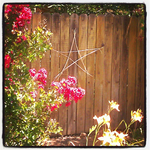 My son made this pretty star for me out of spent, dry daylily flower stalks. I love it!