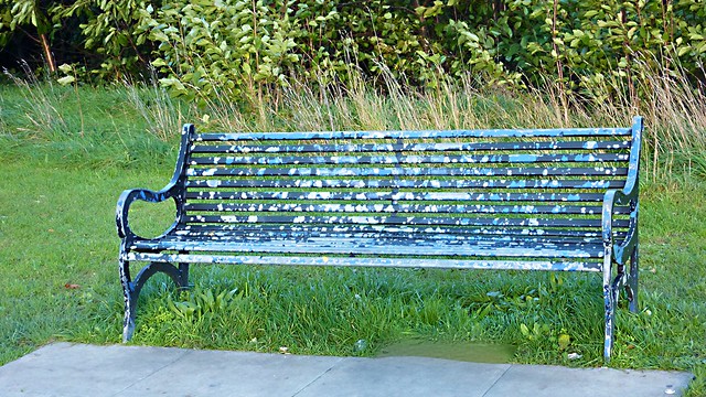 On the Heath : a bench.