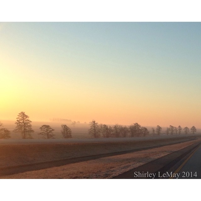 Shrouded #fog #goodmorning #squaready #road #sunrise