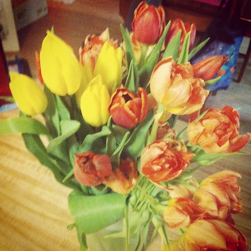 Kids let me sleep in, and got tulips from both my girls & my boyfriend. Pretty spectacular Mother's Day overall. Feeling grateful.