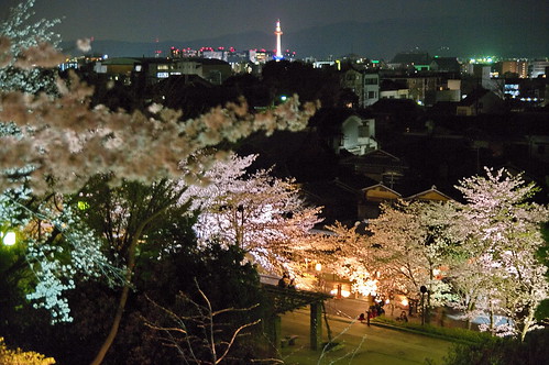 【写真】2013 桜 : 高台寺（２）