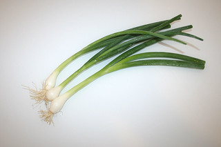 03 - Zutat Frühlingszwiebeln / Ingredient spring onions