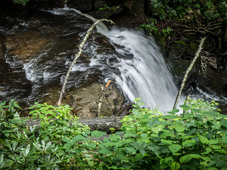 Hills Creek Falls