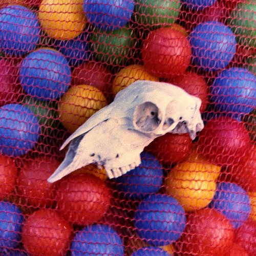 skull & balls by pho-Tony