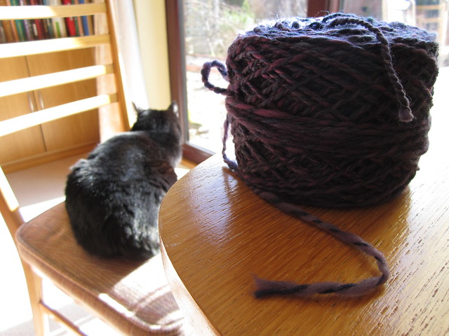 Bare Naked Knitspot spinning purple yarn Feb 2014 (1)