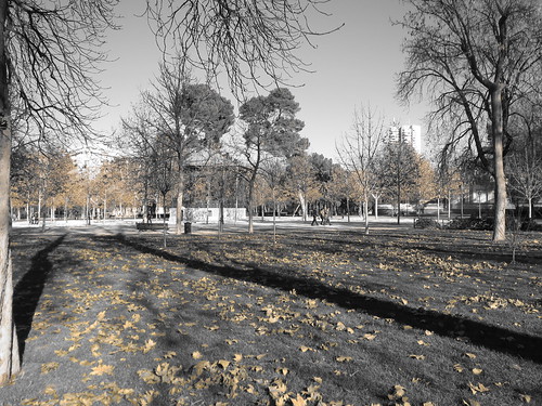 Shadows, Retiro Park, Madrid