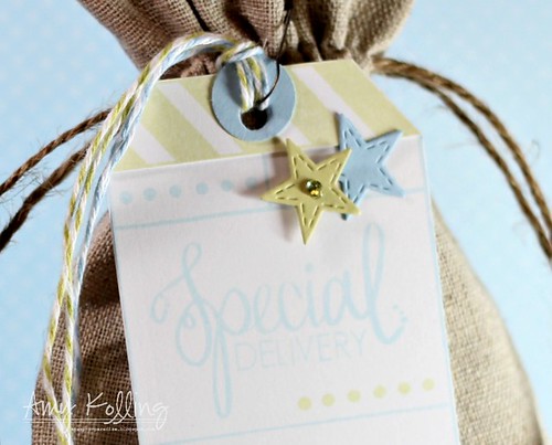 Special Delivery Tag