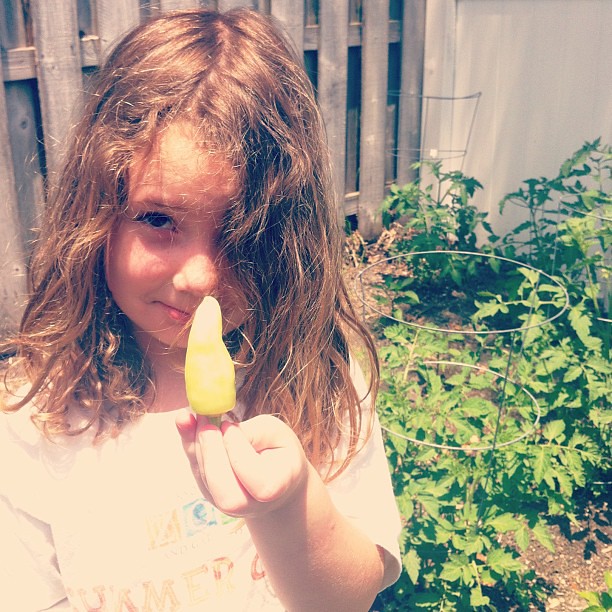 We picked a pepper {from our garden}!