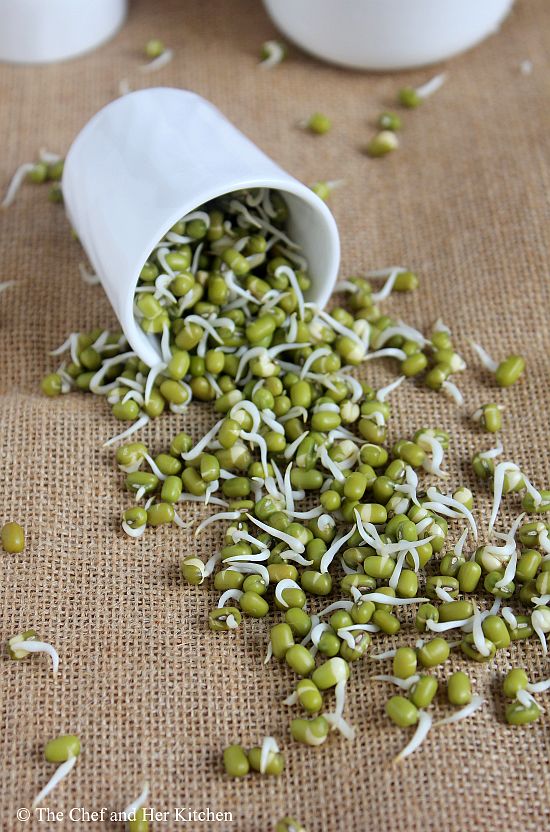 homemade moong sprouts
