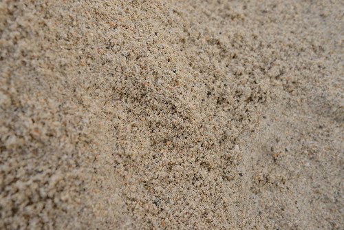 細細的貝殼沙