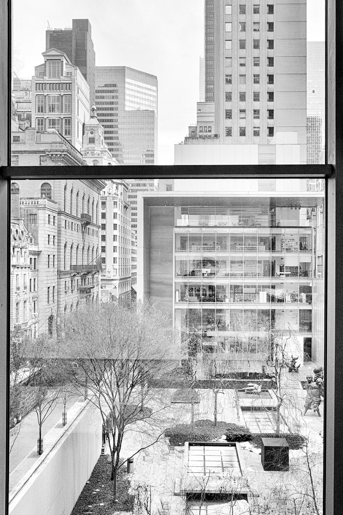 MoMA view