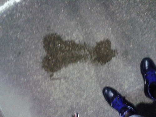 Woman Or Penis Sweat Stain (July 30 2013)