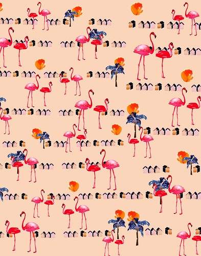 flamingo beach2