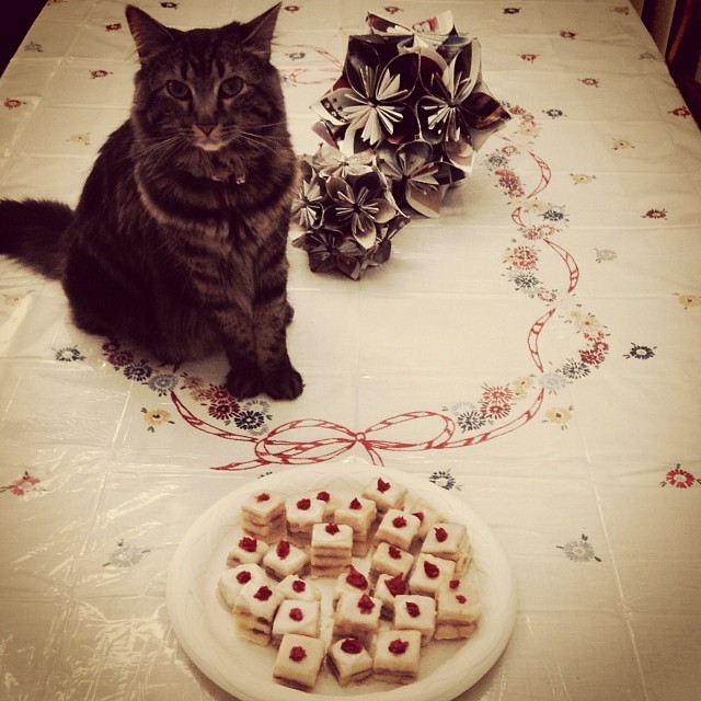 Cute cat, pretty holiday decorations and an Instagram filter later and no one will even notice that the petit fours were a complete bust. #pinterestfail