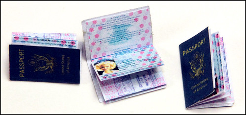 Sixth Scale Passports by DollsinDystopia