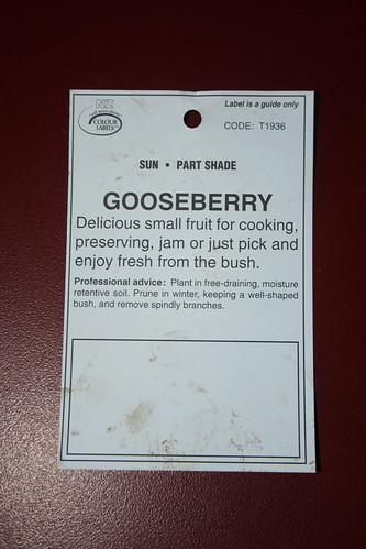 2013-08-06 - Farmlet - 19 - Gooseberry Invicta - label back