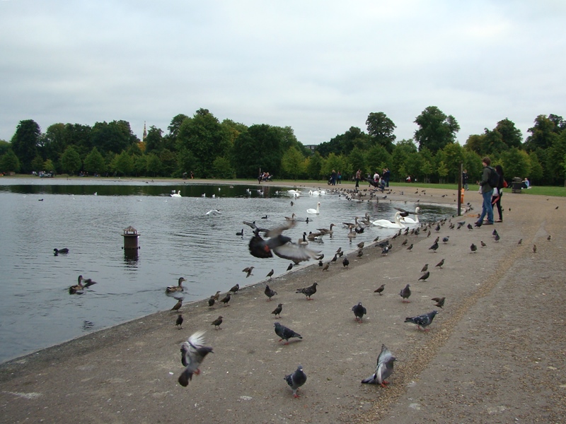 Kensington Gardens Round Pond