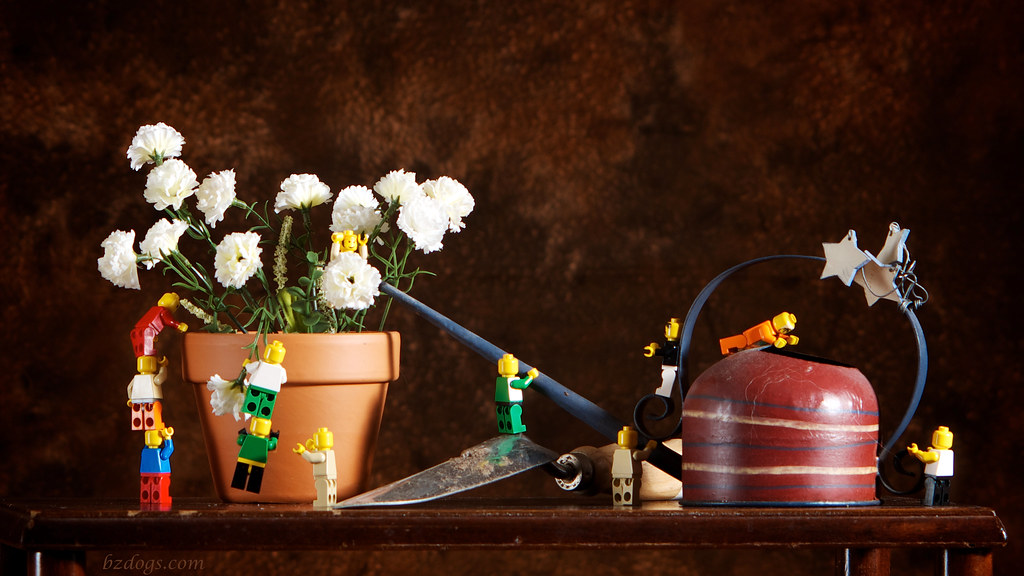 LEGO Gardeners