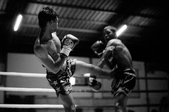 Fight Night – Muay Thai
