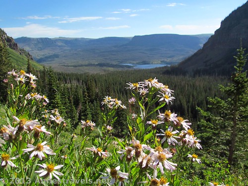 Wildflowers along the Wall Lake Trail below the rim of the Flat Tops - note Trappers Lake in the valley below. Flat Tops Wilderness Area, White River National Forest, Colorado.