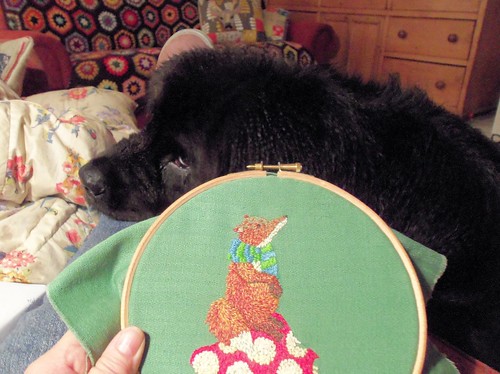 Daisy hates stitching!!