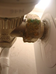 Rust or rot on thermostatic radiator valve