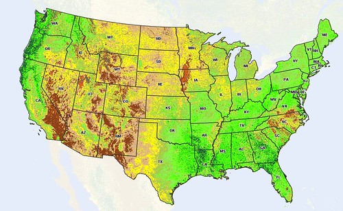 The current vegetation index across the United States. NASS uses satellite images like these to look at weekly crop progress.