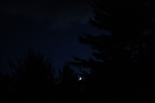 [73/365] Goodnight, Moon by goaliej54