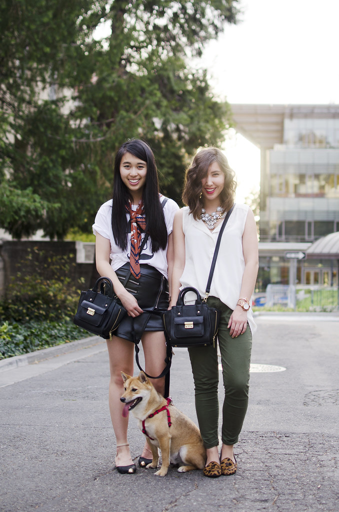 shiba inu, readytwowear blog, whit and mal, bay area style blogger, bay area fashion blog, h&m style, statement necklaces, blogging duo, phillip lim for target pashli