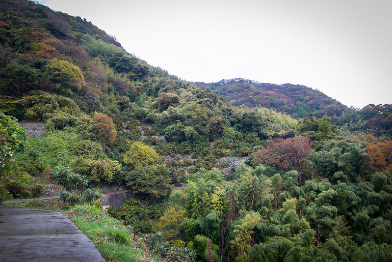 Iwaishima mountain path