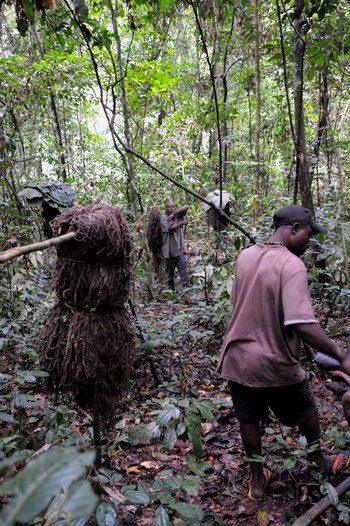 13.- Viviendo la selva - Pigmeos y Gorilas, un paseo por la selva centroafricana (1)