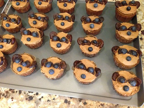 Meerkat cupcakes