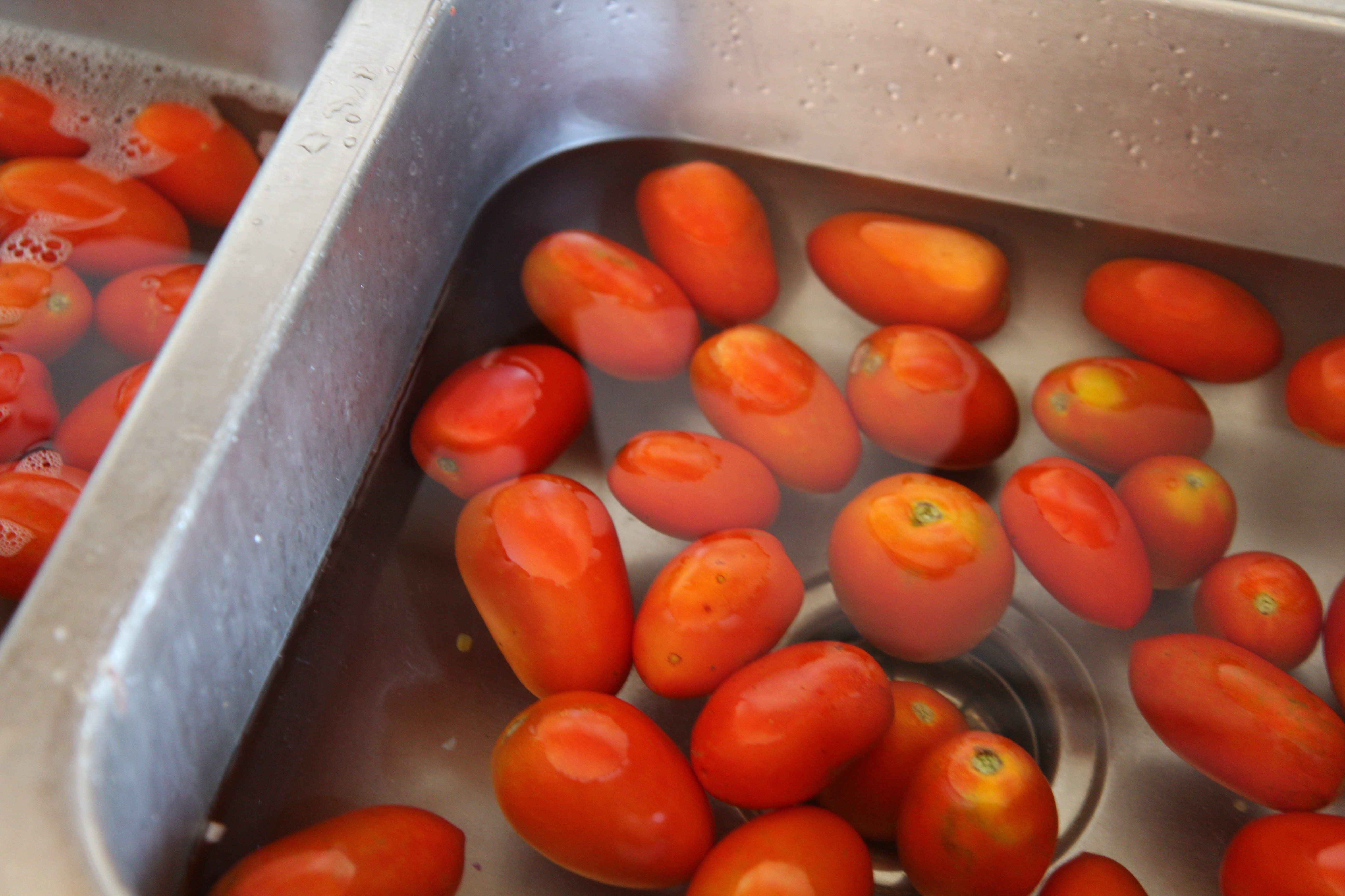 tomatoes for salsa