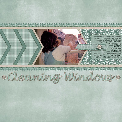 Cleaning Windows by Lukasmummy