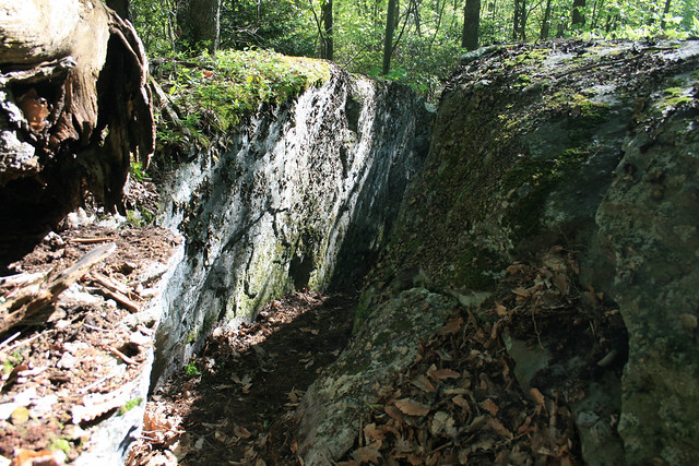 Split rock on the Split Rock Trail at Grayson Highlands