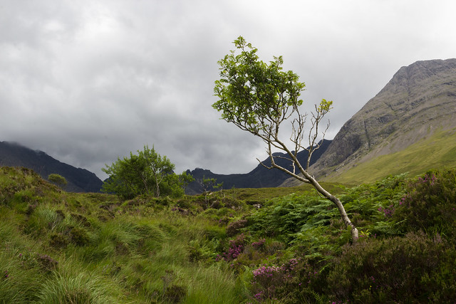 The Fae Glen - Isle of Skye