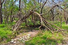 Brushy Creek Trail - Cedar Park, TX - March 2014