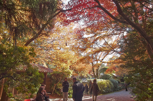【写真】紅葉 : 大河内山荘
