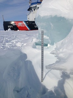 A yardstick measures the thickness of some of the ice that the crew of Coast Guard Cutter Katmai Bay is battling during ice-breaking operations in the Straits of Mackinac Feb 5, 2014.  The crew of the Katmai Bay, homeported in Sault Ste. Marie, Mich., along with the crew of Coast Guard Cutter Bristol Bay, homeported in Detroit, have spent the past few days trying to keep the Straits open to shipping traffic.  U.S. Coast Guard photo by Lt. Michael Patterson