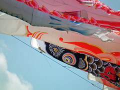 Sagami -Kite Festival- (2013)