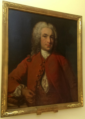 Portrait of Carl Linnaeus.  Original in Linnaean Society of London