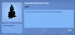 Haunted Redwood Tree