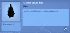 Haunted Spruce Tree