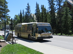 Alberta Transit