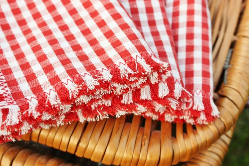 frayed-gingham-picnic-napkins