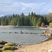 Stanley Park 125 - Live at Second Beach