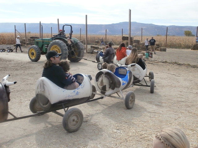 Colorado Halloween Activities - Studt's  tractor pulled ride